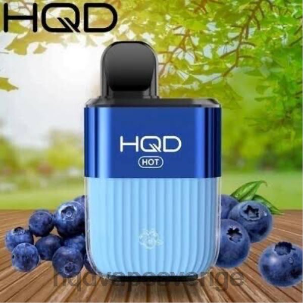 HQD Disposable Vape Flavors - HQD HOT 5000 bloss 4T22T66 blåbär